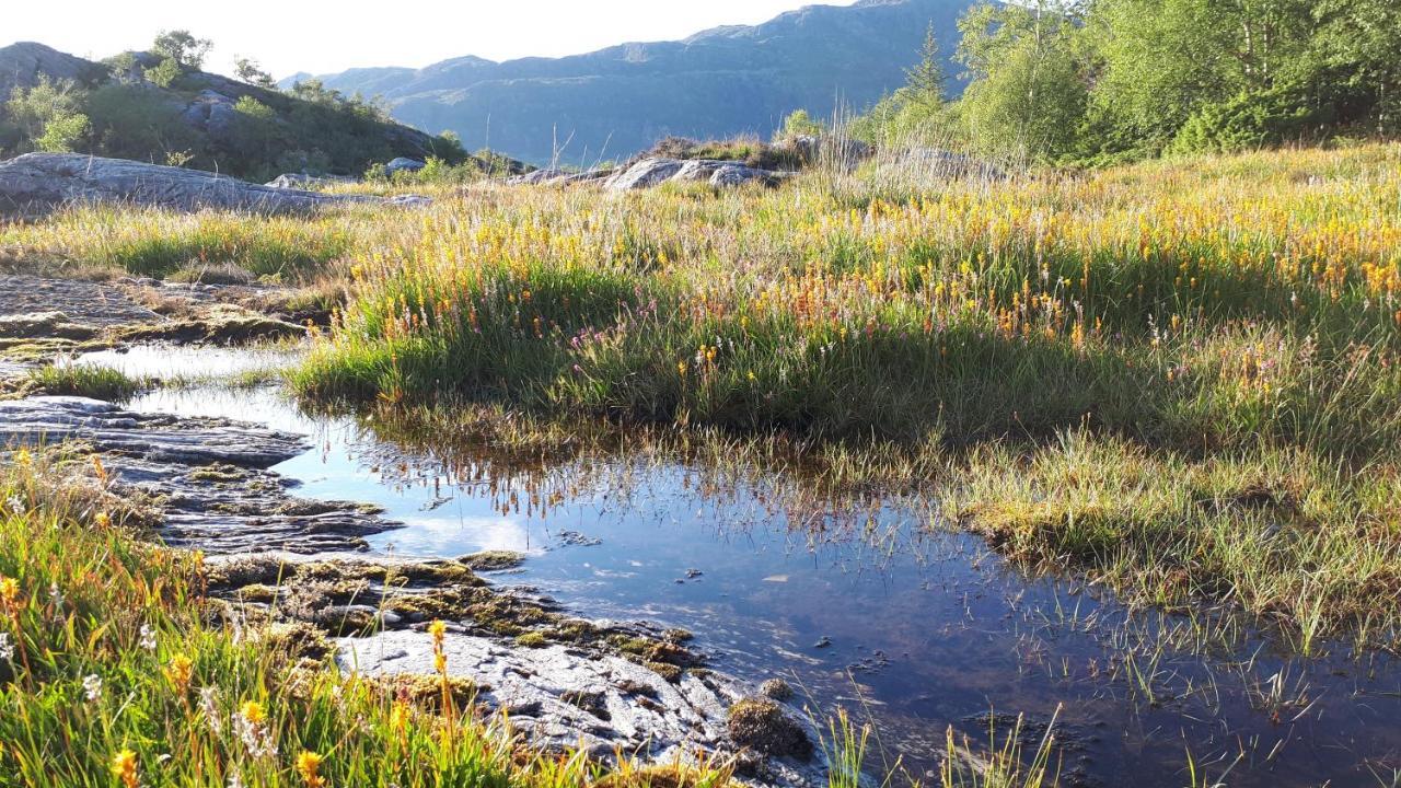 Eimind Feriehus Ask  Bagian luar foto